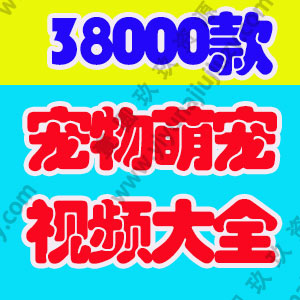 宠物短视频素材国外萌宠动物猫咪二哈搞笑抖音高清无水印剪辑起号