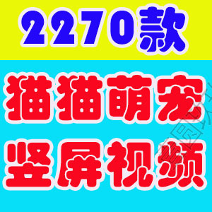猫咪宠物萌宠短视频猫猫可爱搞笑高清抖音自媒体剪辑无水印素材