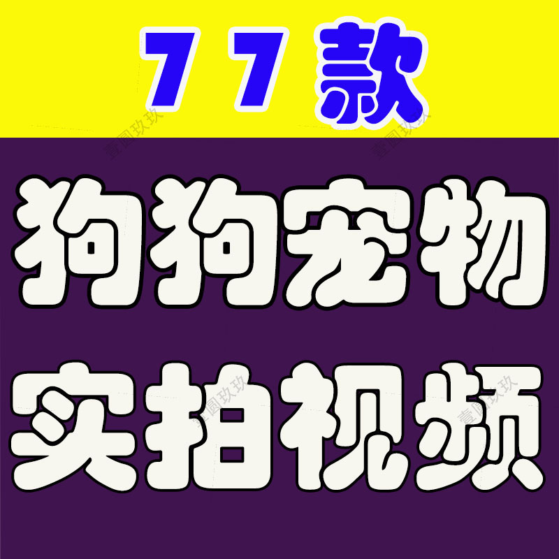 小狗狗宠物实拍横屏萌宠动物搞笑国外高清短视频素材抖音无水印