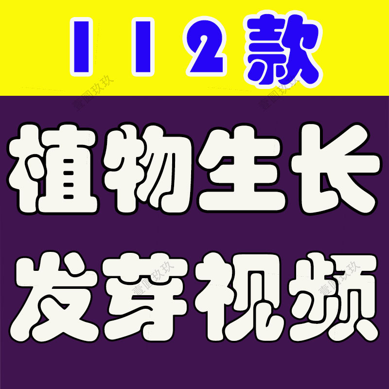 植物生长种子快速发芽延时绿色幼苗破土而出春天视频剪辑视频素材