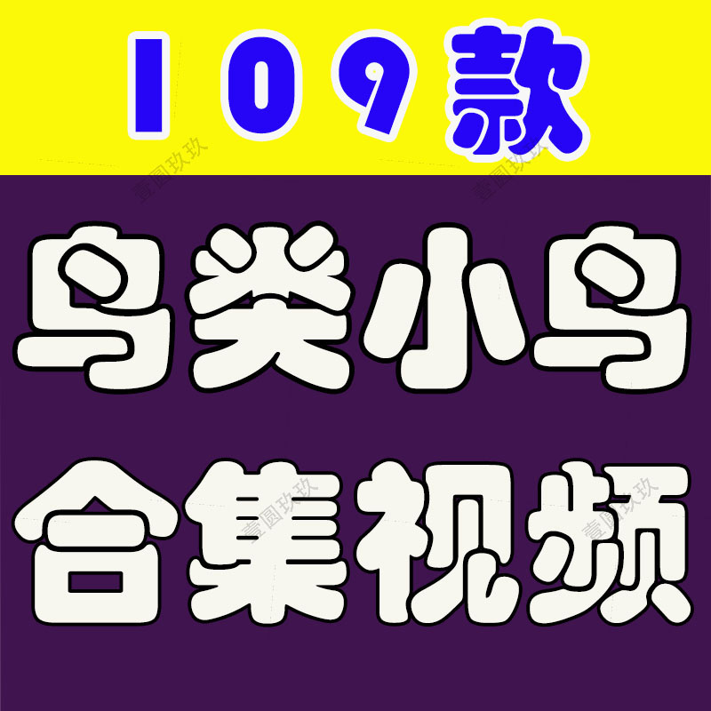 鸟类小鸟动物世界合集宠物短视频素材高清春天树枝鸟儿特写捕食