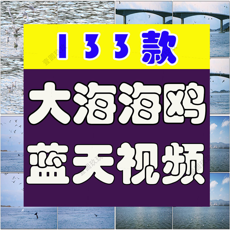 蓝天白云大海海鸥飞翔海洋沙滩海鸟海浪海边风景LED背景视频素材