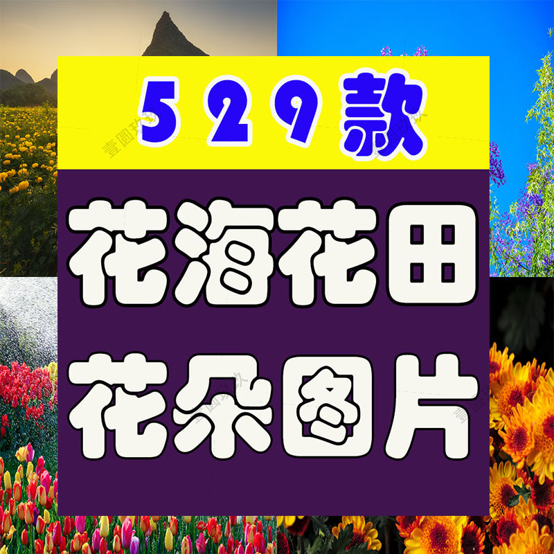 花海花田花朵花丛jpg风景高清抖音绿幕虚拟直播间led背景图片素材