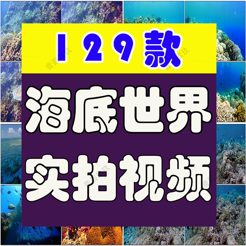 海底世界珊瑚鱼群海洋动物生物水草实拍风景素材自然治愈系短视频
