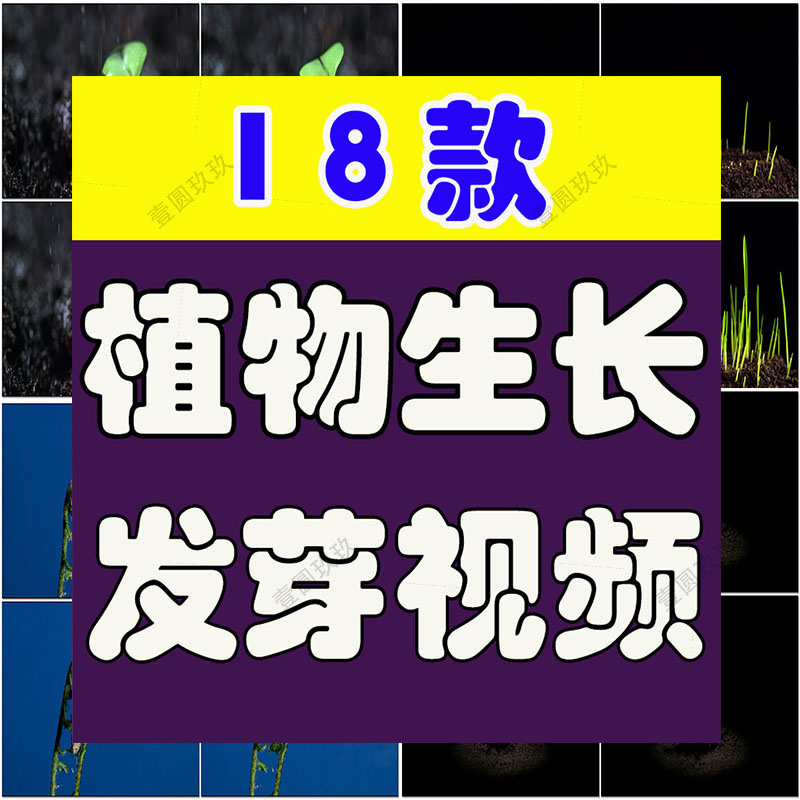 绿色植物生长破土而出种子发芽幼苗快速长大延时抖音短视频素材