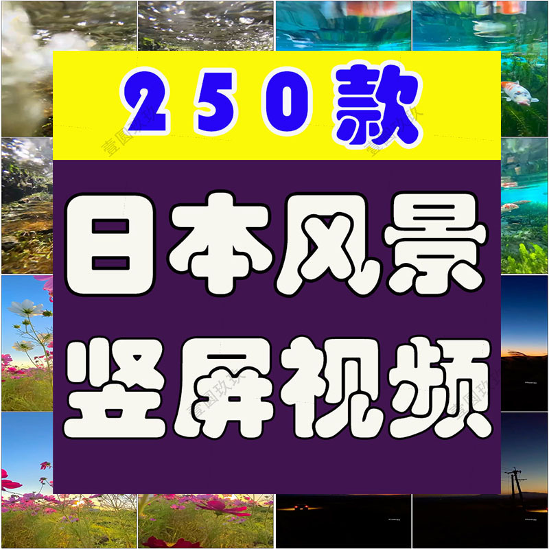 竖屏国外日本城市樱花景点风景素材高清旅游自然治愈系短视频背景
