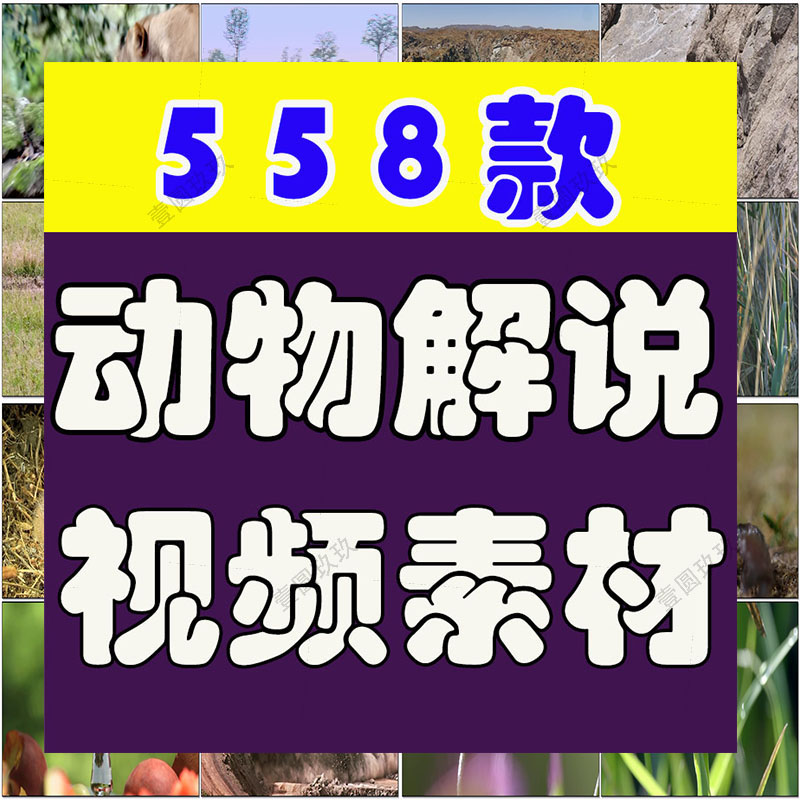 国外横屏野生动物园纪录片捕猎解说中视频自媒体高清实拍素材剪辑