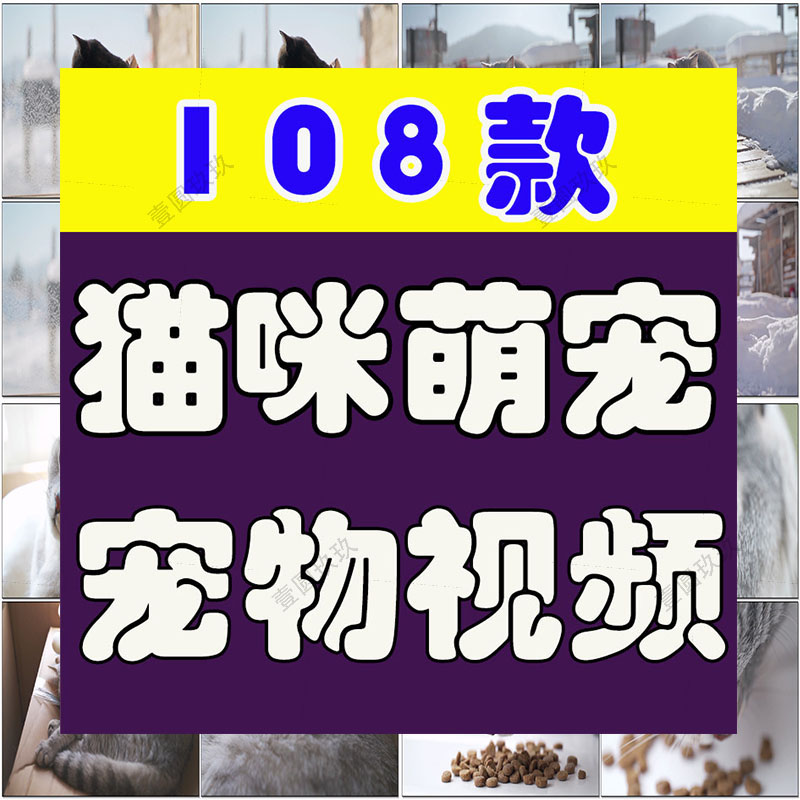 猫咪萌宠宠物可爱搞笑无水印抖音短视频自媒体高清实拍素材剪辑