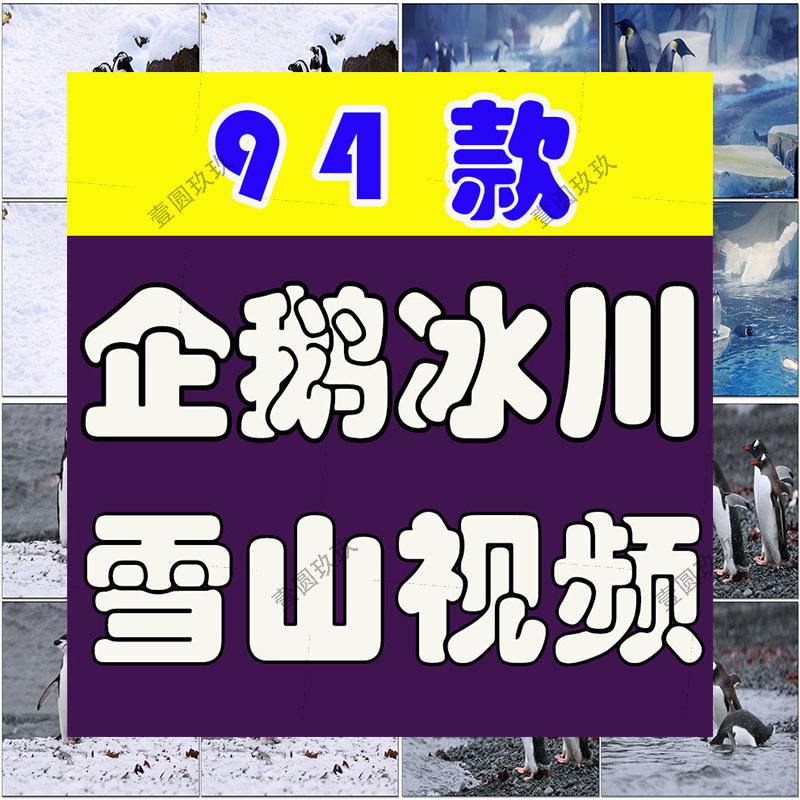 南极企鹅冰山冰川雪山动物风景素材高清旅游自然治愈系短视频背景