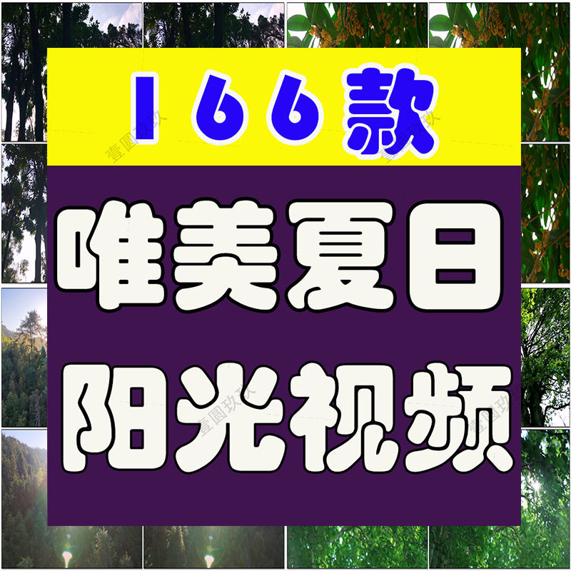 夏日透光阳光大自然空境头实拍唯美树叶背景森林绿叶剪辑视频素材