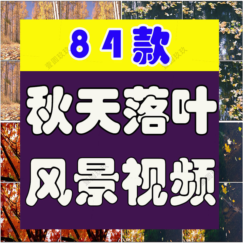 秋天落叶枫叶伤感横屏风景素材高清治愈系自然唯美背景短视频剪辑
