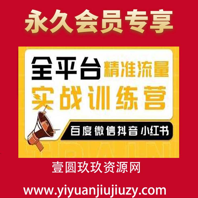 全平台精准流量实战训练营，百度微信抖音小红书SEO引流教程
