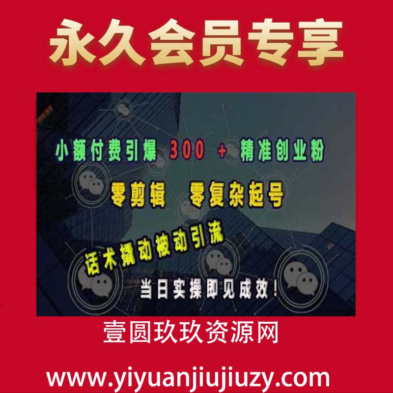 小额付费引爆 300 + 精准创业粉，零剪辑、零复杂起号，话术撬动被动引流，当日实操即见成效
