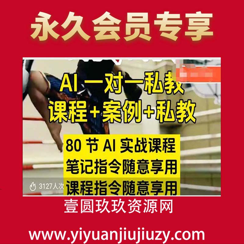 AI指令实战课，课程+案例，80节AI实战课程，笔记指令随意享用，课程指令随意享用(1)