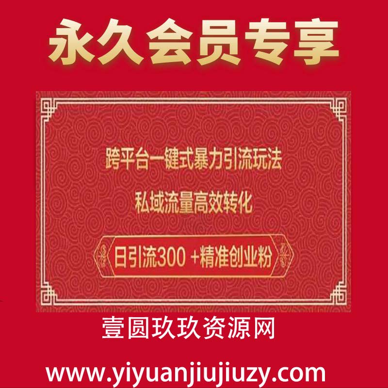 跨平台一键式暴力引流玩法，私域流量高效转化日引流300 +精准创业粉