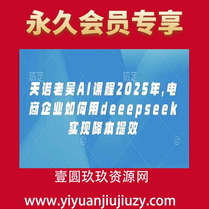 天诺老吴AI课程2025年，电商企业如何用deeepseek实现降本提效
