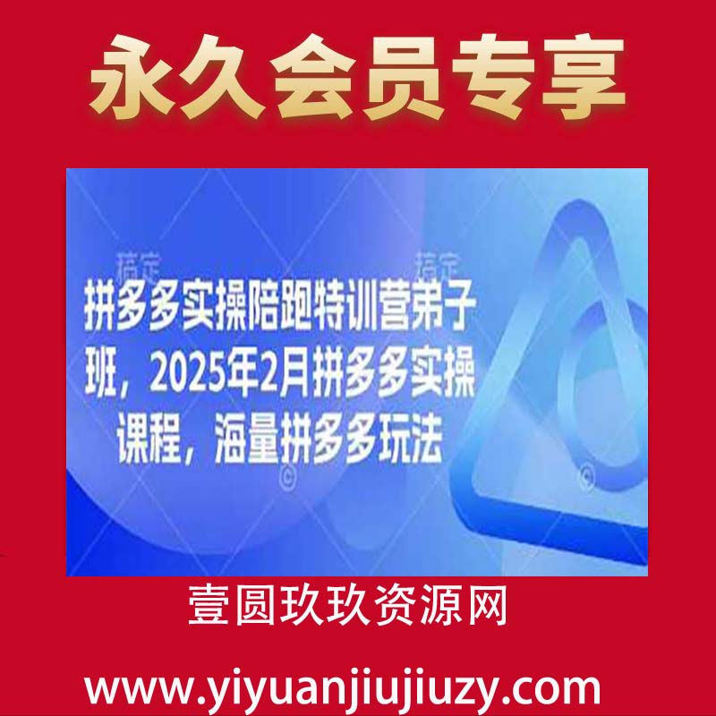 拼多多实操陪跑特训营弟子班，2025年2月拼多多实操课程，海量拼多多玩法