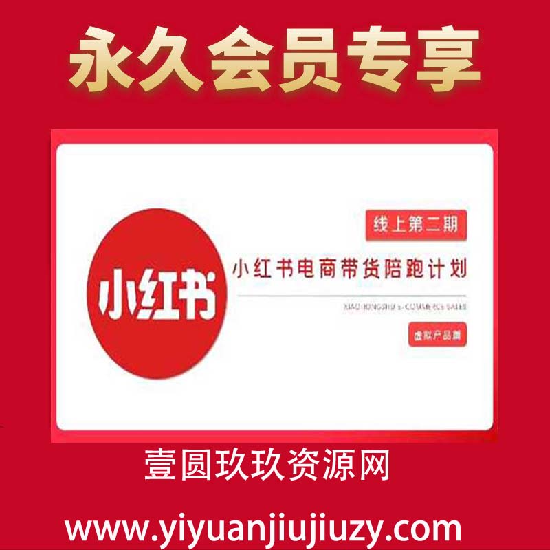 2025小红书虚拟电商实战课，从0到1打造无货源店铺，AI+爆款笔记轻松变现