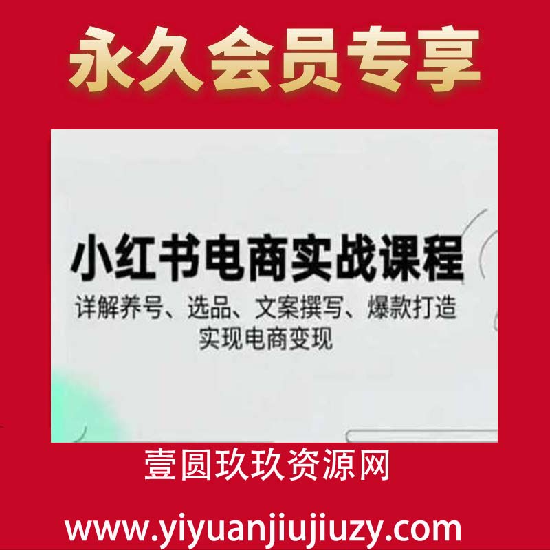 小红书从0-1实操课(2023-2025)，详解养号、选品、文案撰写、爆款打造实现电商变现