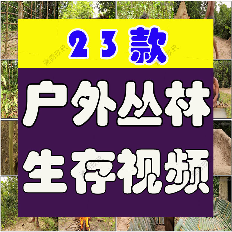 丛林野外建别墅建游泳池国外户外场景荒野生存横屏中长视频素材