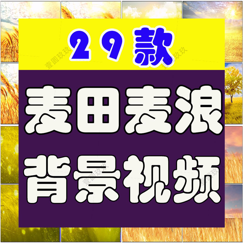 金色麦田麦穗麦浪秋天丰收屏幕舞台动感LED高清视频场景背景素材