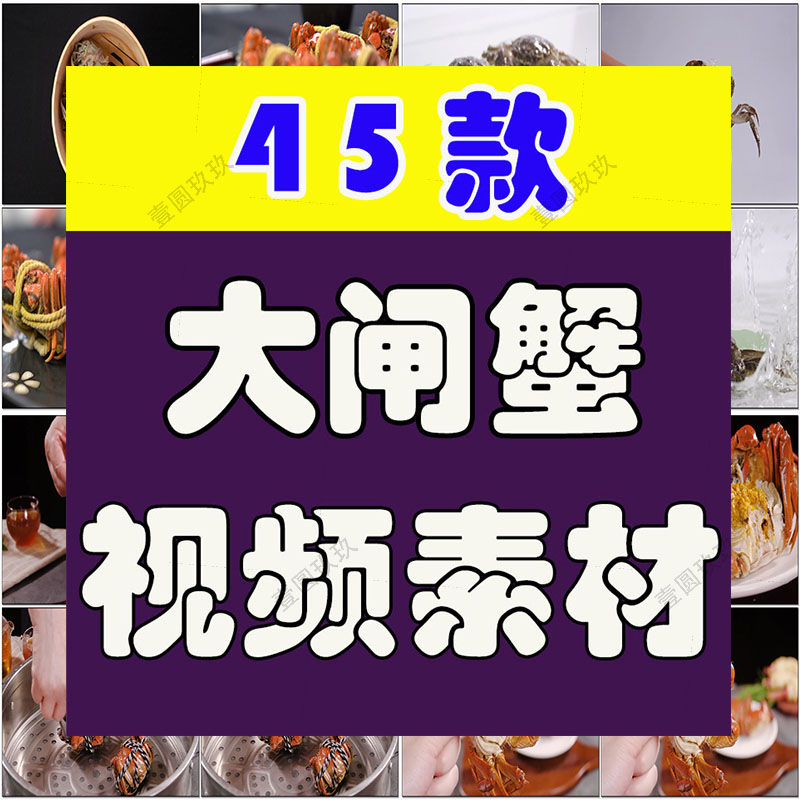 大闸蟹阳澄湖创意背景螃蟹清蒸蟹膏黄水产美食高清实拍短视频素材