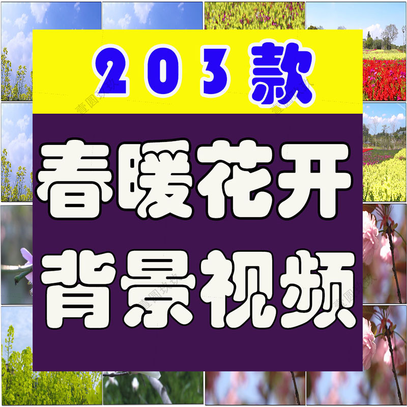 春暖花开花朵绽放花卉鲜花风景素材高清春天自然治愈系短视频背景