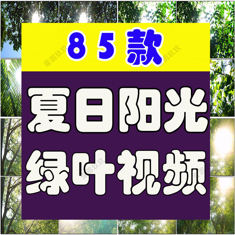 4K夏日阳光绿叶空境树叶小清新风景素材高清自然治愈系短视频背景