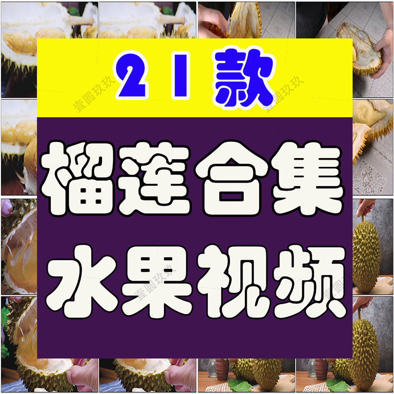 榴莲合集水果果实成熟采摘种植园马来西亚短视频高清实拍素材剪辑