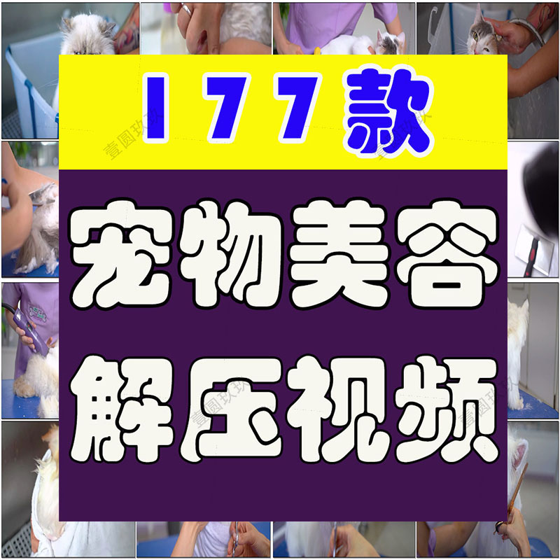 宠物美容猫狗洗澡高清横屏解压萌宠动物短视频自媒体小说推文素材