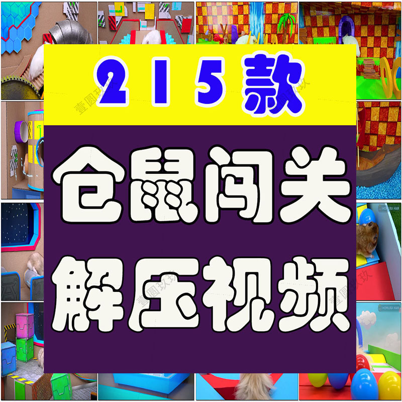仓鼠闯关过关游戏萌宠物国外高清抖音解压减压短视频小说推文素材