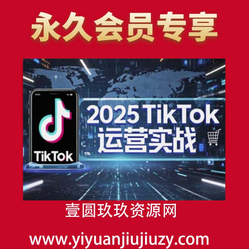 2025TikTok电商运营，掌握TikTok店铺运营核心技巧，实现低成本高转化