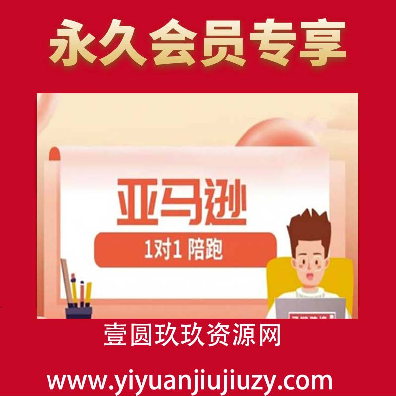 亚马逊1对1陪跑课(FBA FBM精铺)跨境亚马逊教程