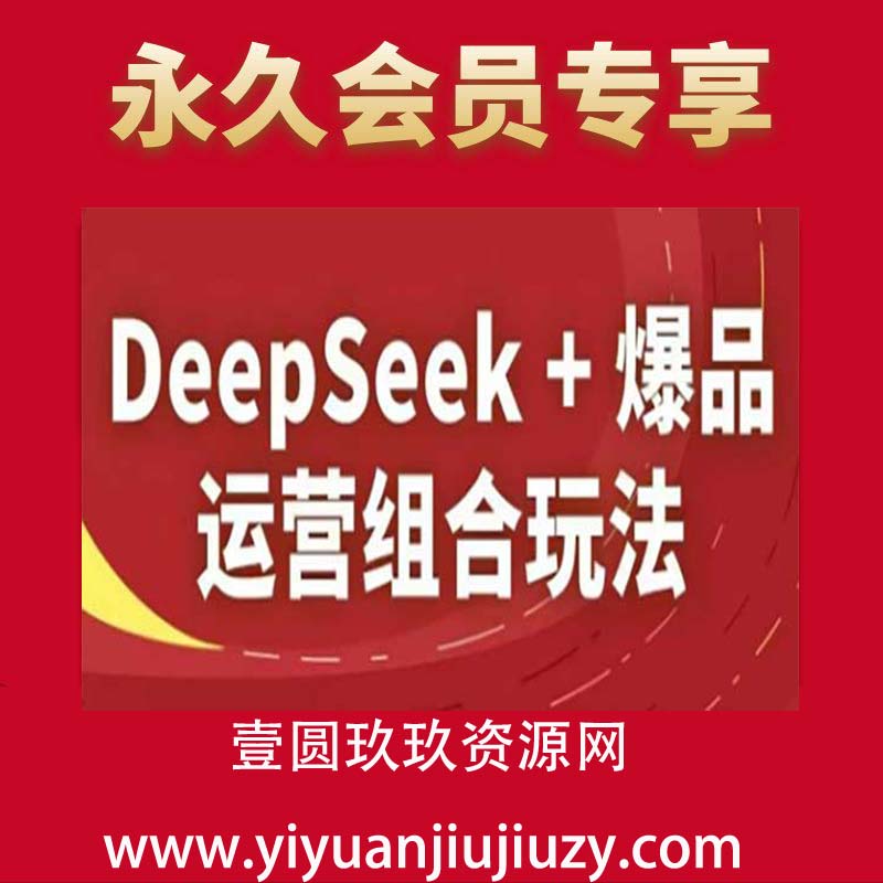 DeepSeek+爆品运营组合玩法，2025淘系精品课