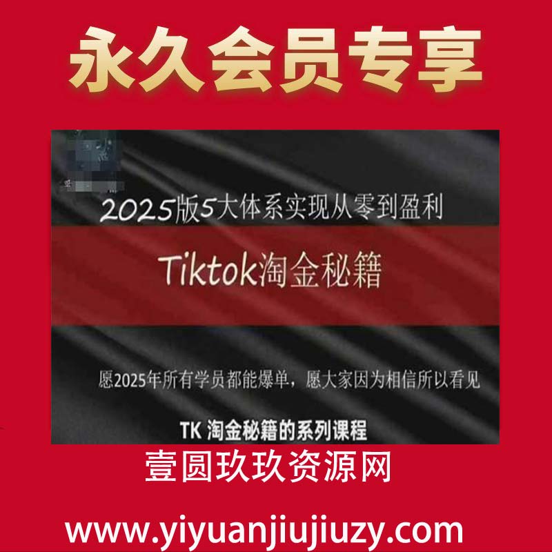 TikTok跨境2025淘金秘籍，2025TikTok从0到盈利变现