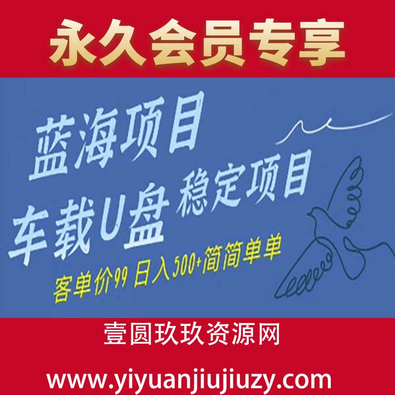 蓝海项目车载U盘稳定项目，挣的就是信息差，客单价99，日入几张简简单单