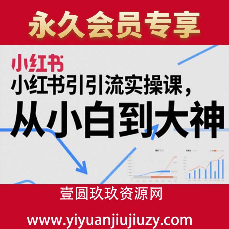 小红书引流实操课，从小白到大神