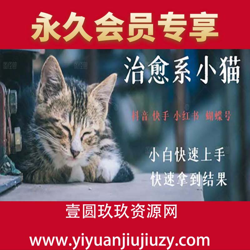 拆解，疯狂火爆！抖音，小红书，视频号小猫治愈的视频，轻松制作+快速拿到结果
