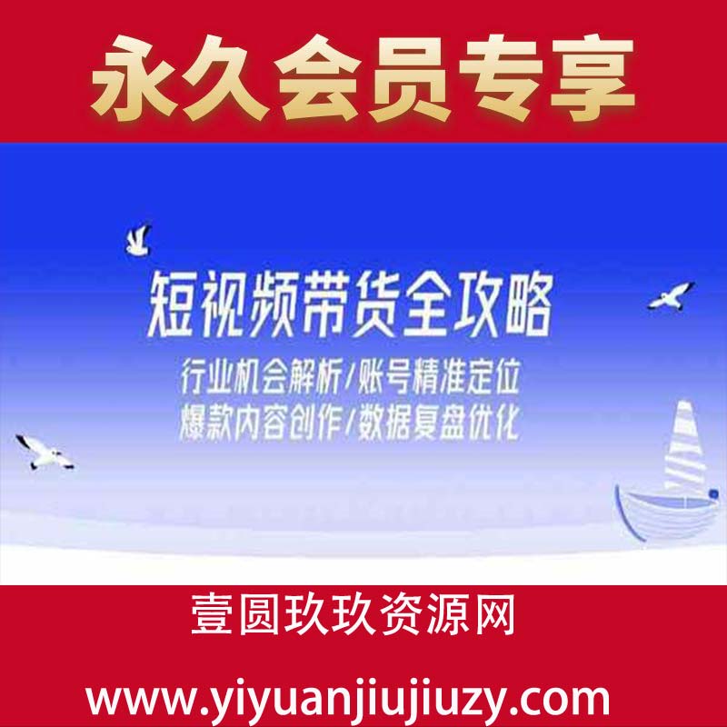 行业机会解析/账号精准定位/爆款内容创作/数据复盘优化