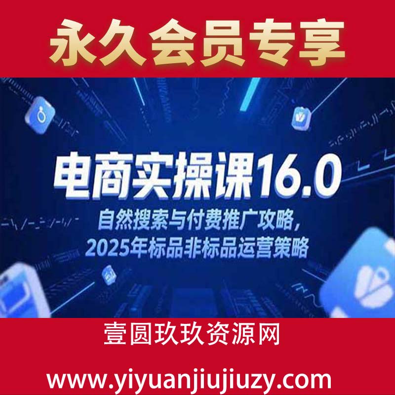 自然搜索与付费推广攻略，2025年标品非标品运营策略