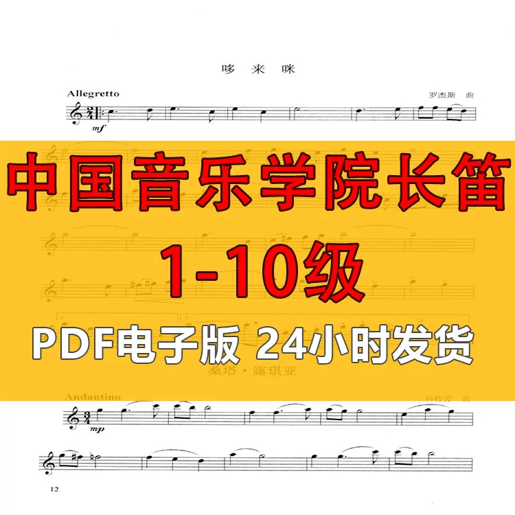 中国音乐学院艺术水平考级全国长笛1-10级海外业余长笛1-10级